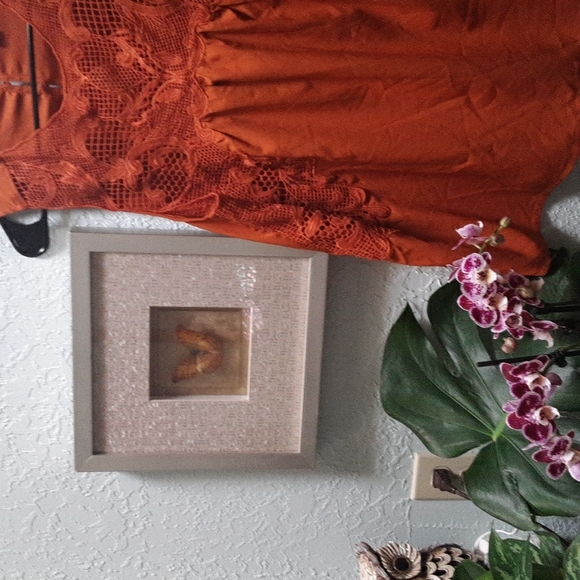 Chelsea28 womens M lace applique top in rusted pumpkin color.🍂🌼😀😍 - Picture 8 of 8
